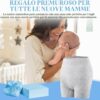61d4B4EhsoL._AC_SL1001_ Mom 8pc Postpartum Underwear